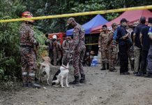 பத்தாங் காலி நிலச்சரிவு: பாதிக்கப்பட்ட ஏனைய ஒன்பது பேரை தேடும் நடவடிக்கை இன்று காலை மீண்டும் தொடங்கியது