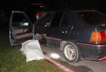 போலீசாரால் சுட்டுக் கொல்லப்பட்ட குற்றவாளிகளின் 5 கூட்டாளிகளுக்கு போலீஸ் வலைவீச்சு