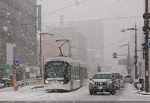 ஜப்பானில் கடும் பனிப்பொழிவு: எண்மர் உயிரிழப்பு