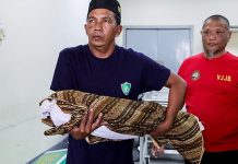 4 சிறுவன் மரணம் தொடர்பில் 5 பேருக்கு 7 நாட்கள் காவல் நீட்டிப்பு