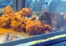 பொரித்த கோழியை சாப்பிட்ட எலி; உணவகத்தை 14 நாட்களுக்கு மூடுமாறு உத்தரவு