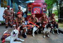 பத்தாங்காலி மீட்பு நாய்களுக்கு ‘Golden Performance’ பதக்கங்கள் வழங்கப்பட்டன