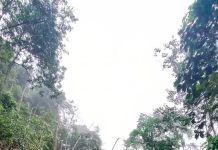 நிலச்சரிவு காரணமாக ரானாவ்-சண்டகான் சாலை அனைத்து வாகனங்களுக்கும் மூடப்பட்டுள்ளது