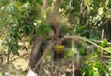 தலையில் 4 துப்பாக்கிச் சூட்டுக் காயங்களுடன் சிதைந்த உடல் மீட்பு