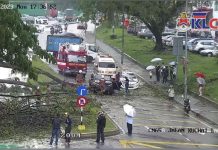 KL இல் மரங்கள் விழுந்ததில் மூன்று வாகனங்கள் சேதம்; இருவர் காயம்