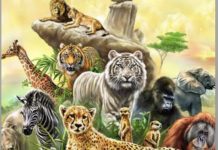 இந்த ஆண்டு இதுவரை நடந்த சோதனையில் கிட்டத்தட்ட RM5 மில்லியன் மதிப்புள்ள வனவிலங்குகள், உடல் பாகங்கள் பறிமுதல்