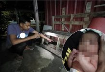 கோல தெரெங்கானு குடியிருப்பின் சமையலறைக்குப் பின்னால் புதிதாக பிறந்த குழந்தை கண்டெடுப்பு