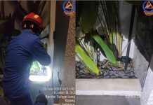 பிரதமர் வீட்டில் கருப்பு நாகப்பாம்பை தற்காப்புப் படையினர் பிடித்தனர்