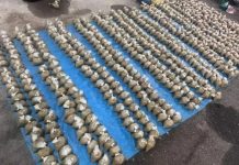 70 கிலோகிராம் கெத்தும் இலைகள், 120 லிட்டர் கெத்தும் நீர் வைத்திருந்த ஆடவர் கைது