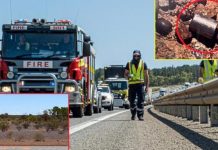 ஆஸ்திரேலியாவை அலறவிட்ட ‘நாணய’ அளவிலான சிறிய கதிரியக்க குப்பி… ஆயிரத்து 400 கி.மீ தூரம் தேடுதல்