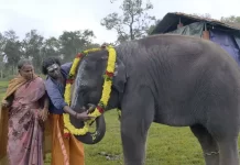 யானைகளை பராமரிக்கும் முதுமலை தம்பதி குறித்த ‘தி எலிபெண்ட் விஸ்பர்ஸ்’ ஆவண குறும்படத்திற்கு ஆஸ்கர் விருது