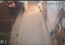 Lelaki pukul, bakar anjing diburu