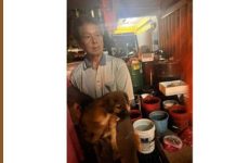 அரசு ஊழியர்களின் பணிக்கு இடையூறு விளைவித்ததற்காக தெருநாய் வழக்கில் முதியவரிடம் விசாரணை