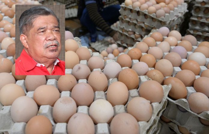 EGG