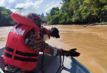 ஆற்றில் விழுந்த இரண்டு குழந்தைகளை காப்பாற்ற சென்ற ஆடவர் மூழ்கி காணாமல் போனார்