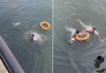 நீரில் தத்தளித்து கொண்டிருந்த நாய் குட்டியை காப்பாற்றிய ராணுவ வீரர்களுக்கு குவியும் பாராட்டுகள்