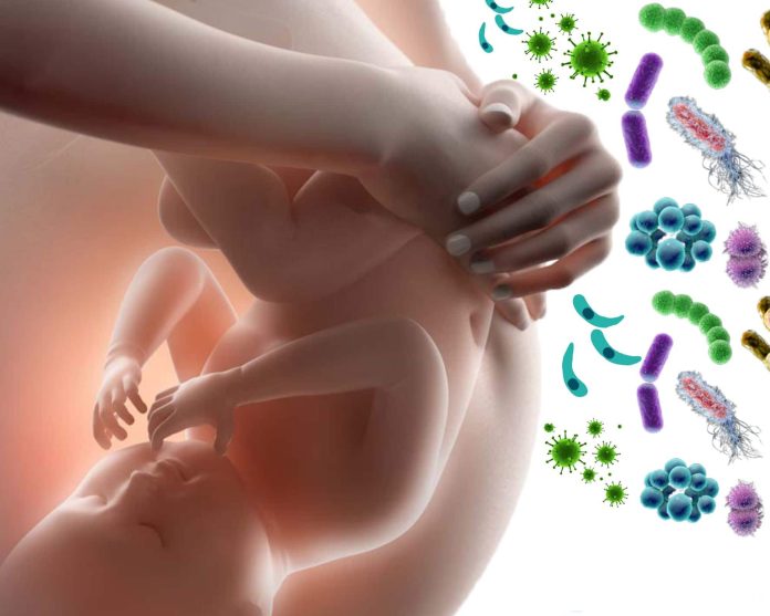 Infecciones-en-el-embarazo-1