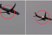 பறவை மோதியதால் நடுவானில் பற்றி எரிந்த பயணிகள் விமானம்