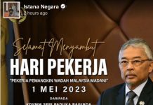 மாமன்னர் தம்பதியரின் மே தின வாழ்த்துகள்