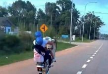 வீலி ஸ்டண்ட் செய்ததன் தொடர்பில் இருவர் கைது