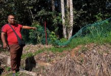 அடிக்கடி யானைகள் அத்துமீறி நுழையும் பயத்தில் போஸ் புரூக் பழங்குடி மக்கள்