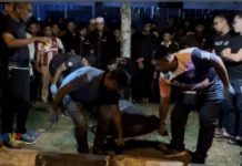 பல்கலைக்கழக வளாகத்தில் நடந்த விபத்தில் பல்கலைக்கழக மாணவர் பலி; இருவர் காயம்