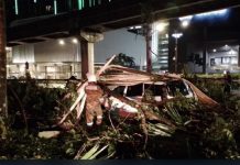 புயலினால் மரம் விழுந்ததில் 13 வாகனங்கள் சேதம்