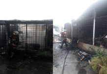 தீயில் சாம்பலான கடைகள்