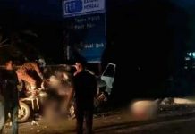 டிரெய்லர் மீது வேன் மோதியதில் இருவர் பலி