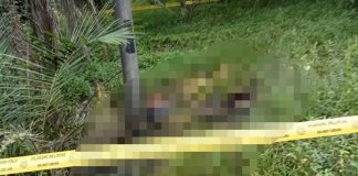 காணாமல் போன நபர் காட்டில் சடலமாகக் கண்டெடுப்பு; இரண்டு நண்பர்கள் கைது