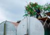 போர்டிக்சனில் சட்டவிரோத முறையில் பதுக்கிவைக்கப்பட்டிருந்த சுமார் 7,000 லிட்டர் மானிய விலை டீசல் பறிமுதல்