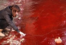 ஜப்பானில் இரத்த சிவப்பாக மாறிய ஆற்றுநீர்