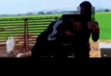 பாகன் செராயில் இரண்டு இளம்பெண்களுடையேயான சண்டை குறித்து வைரலான வீடியோ: போலீசார் விசாரணை