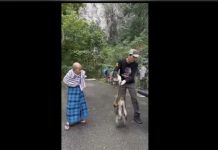 பத்து கேவ்ஸ் பகுதியில் வசிப்பவர்கள் குரங்குகளை சுடுவது குறித்து கவலை தெரிவிக்கின்றனர்