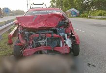 எருமை மாடுகளின் மீது மோதி உயிர் பிழைத்த குடும்பம்; 3 மாடுகள் கொல்லப்பட்டன