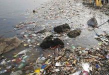 நாட்டில் உள்ள 672 நதிகளில் 29 அல்லது 4% கடந்த ஆண்டு மாசடைந்துள்ளது