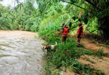 தஞ்சோங் மாலிமில் நீரில் மூழ்கி காணாமல் போன எட்டு வயது சிறுவன் சடலமாக கண்டெடுப்பு