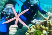 தாய்லாந்தில் நட்சத்திர மீனுடன் செல்பி… சீன சுற்றுலாப் பயணிகளுக்கு அபராதம்