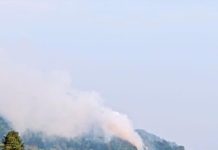 புக்கிட் செமாங்கோல் வனப்பகுதியில் தீ