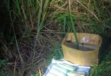 மலேசிய-தாய்லாந்து எல்லை பகுதியில் RM 34,100 மதிப்புள்ள கஞ்சா போலீசாரால் பறிமுதல்