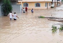 ஹைதி நாட்டில் கனமழை, நிலச்சரிவு: 42 பேர் பலி; 11 பேரைக் காணவில்லை