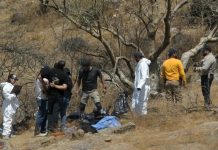 மெக்சிகோவில் மனித உடல் உறுப்புகளுடன் 45 பைகள் கண்டெடுப்பு- போலீஸ் விசாரணை ஆரம்பம்