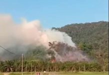 புக்கிட் செமாங்கோல் காட்டுப் பகுதியில் ஏற்பட்ட தீ அணைக்கப்பட்டது