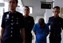 அண்டை வீட்டார் பூனையை ஏர் ரைஃபிளால் சுட்ட முன்னாள் ராணுவ வீரருக்கு அபராதம்