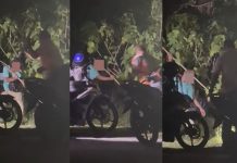 ஜார்ஜ் டவுனில் சாலையில் குறுக்கிட நாயை கொன்ற சம்பவம்