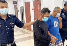 நாயை அடித்து கொலை செய்ததாக இருவர் மீது குற்றச்சாட்டு