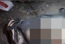 புதிதாக பிறந்த ஆண் குழந்தை குப்பைத் தொட்டியில் இருந்து மீட்பு