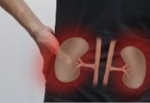 சிறுநீரகங்களை ஆரோக்கியமாக வைத்துக்கொள்வதில் நீர்ச்சத்தின் பங்கு என்ன..?