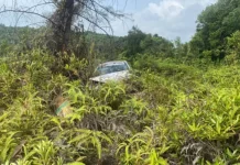 இரண்டு நாட்களாக இல்லம் திரும்பாத ஆடவர் புதரில் இருந்து சடலமாக மீட்பு