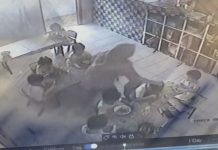 4 வயது சிறுவன் பராமரிப்பாளரால் துன்புறுத்தலுக்கு ஆளானது தொடர்பில் விசாரணை